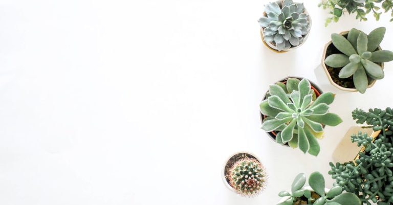 Quels sont les principes d&rsquo;une gouvernance durable ?